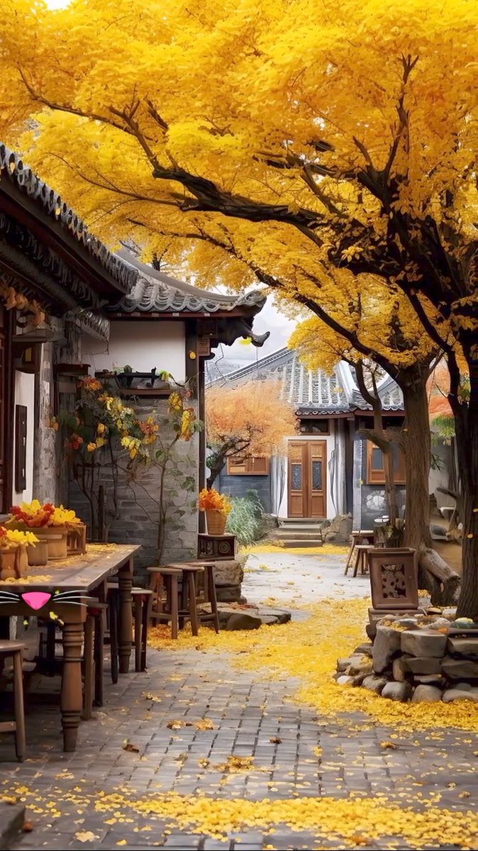 Have a beautiful day 💛