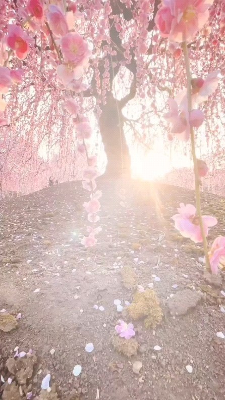 Enjoy the romantic moment and cherish daily life.