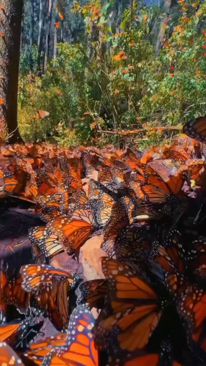 The scenery and people are on the road, and joy touches the bottom of my heart.