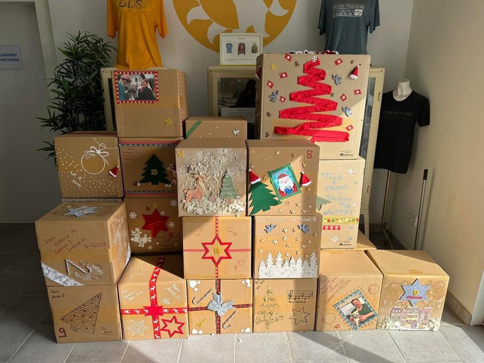 Galgos del Sol tweet media