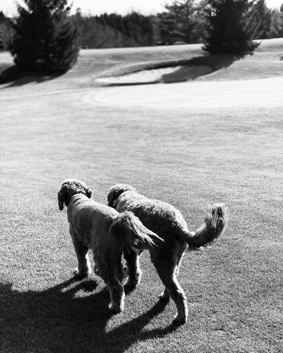 💋AUGUSTA RAY💋 tweet media