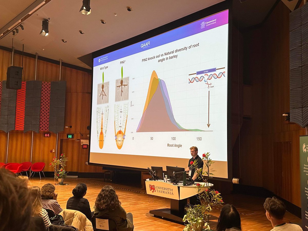 Godwin_Lab's tweet image. PhD candidate Zac Aldiss presenting his work on altering root systems using CRISPR at #ASPS2023. Great work Zac! 🌱