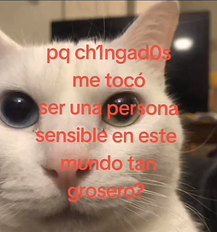 depresspaula's tweet image. bye chicos