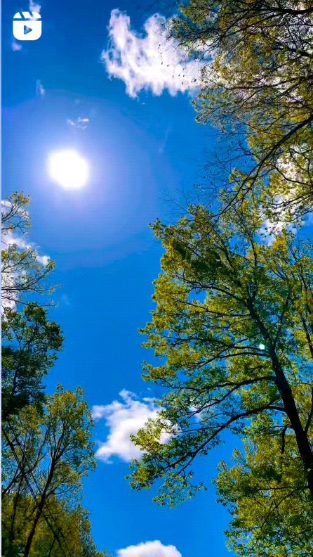 I wish to go through mountains and rivers and still feel that this world is worth it.