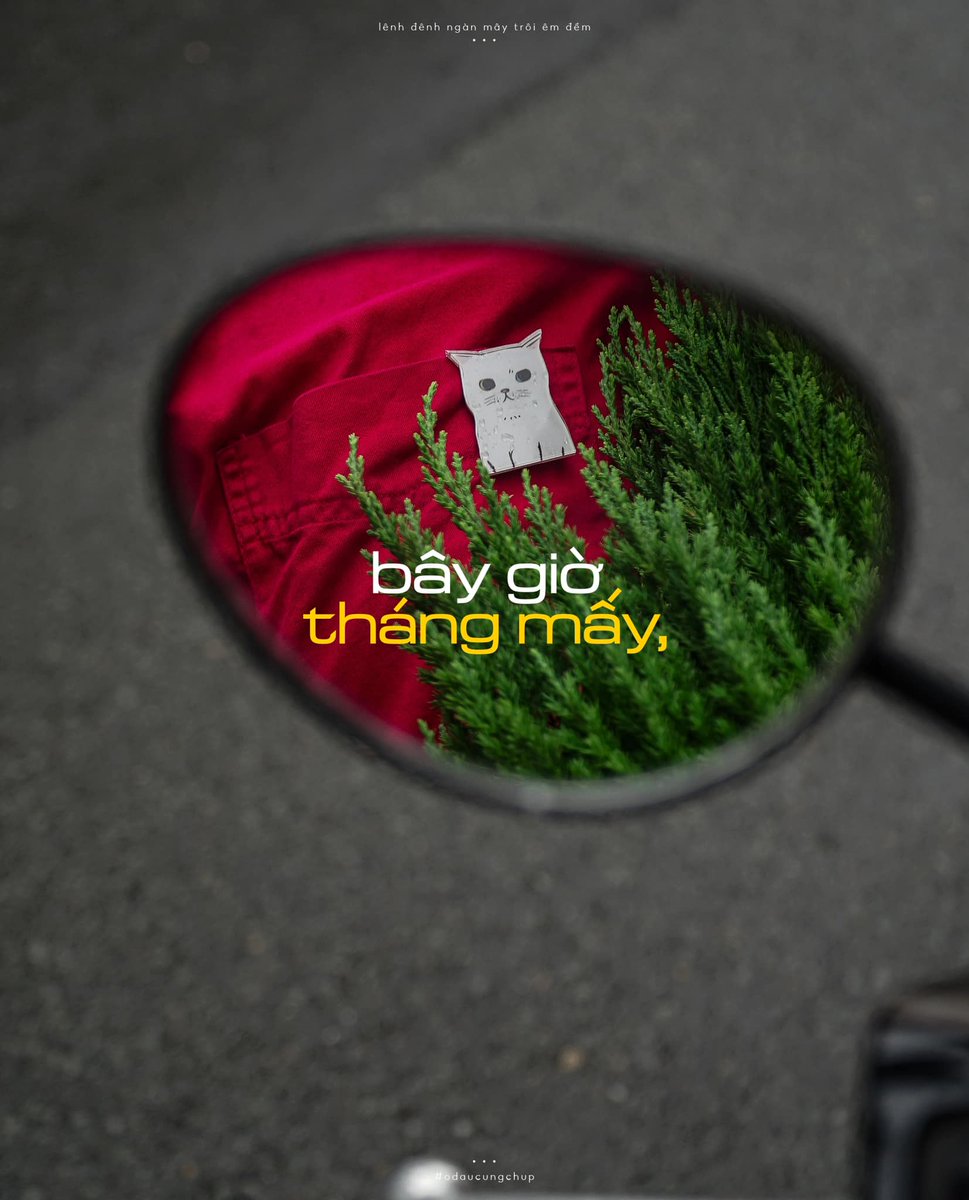 Ở Đâu Cũng Chụp tweet media