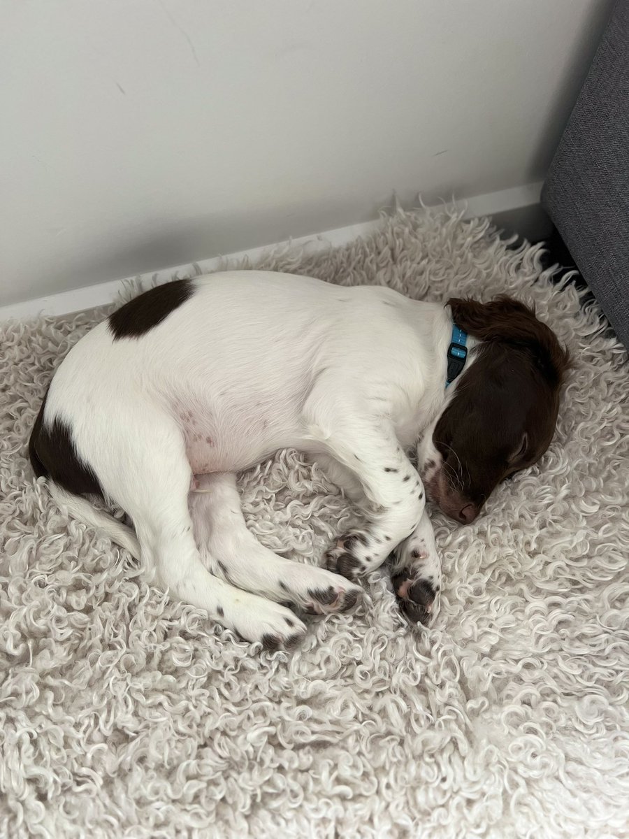 joc303's tweet photo. 11 weeks today. 💙 https://t.co/ACZk1QpJcb