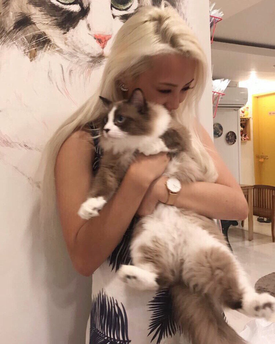 landslide metonymic
Tôi tin rằng tình yêu có thể xuất phát từ sự thấu hiểu. Hãy cho tôi cơ hội được hiểu bạn và tìm hiểu bạn.