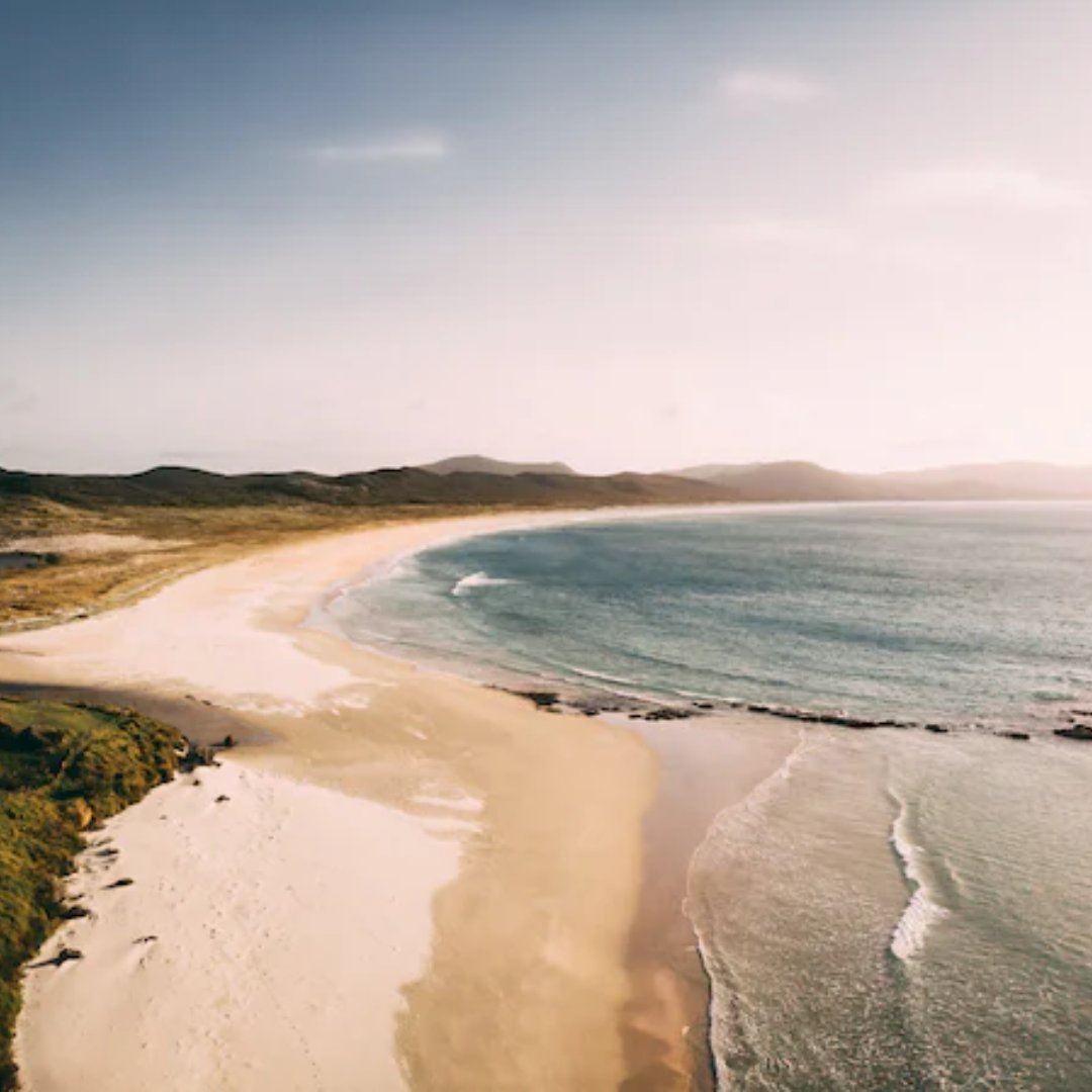 nga_ara_whetu's tweet image. New Zealand’s marine life faces unprecedented challenges due to extreme weather and warming linked to climate change. Oceans around the world are warming and ecosystems are facing the consequences. Tap the link and learn more.
ngaarawhetu.org/extreme-weathe…