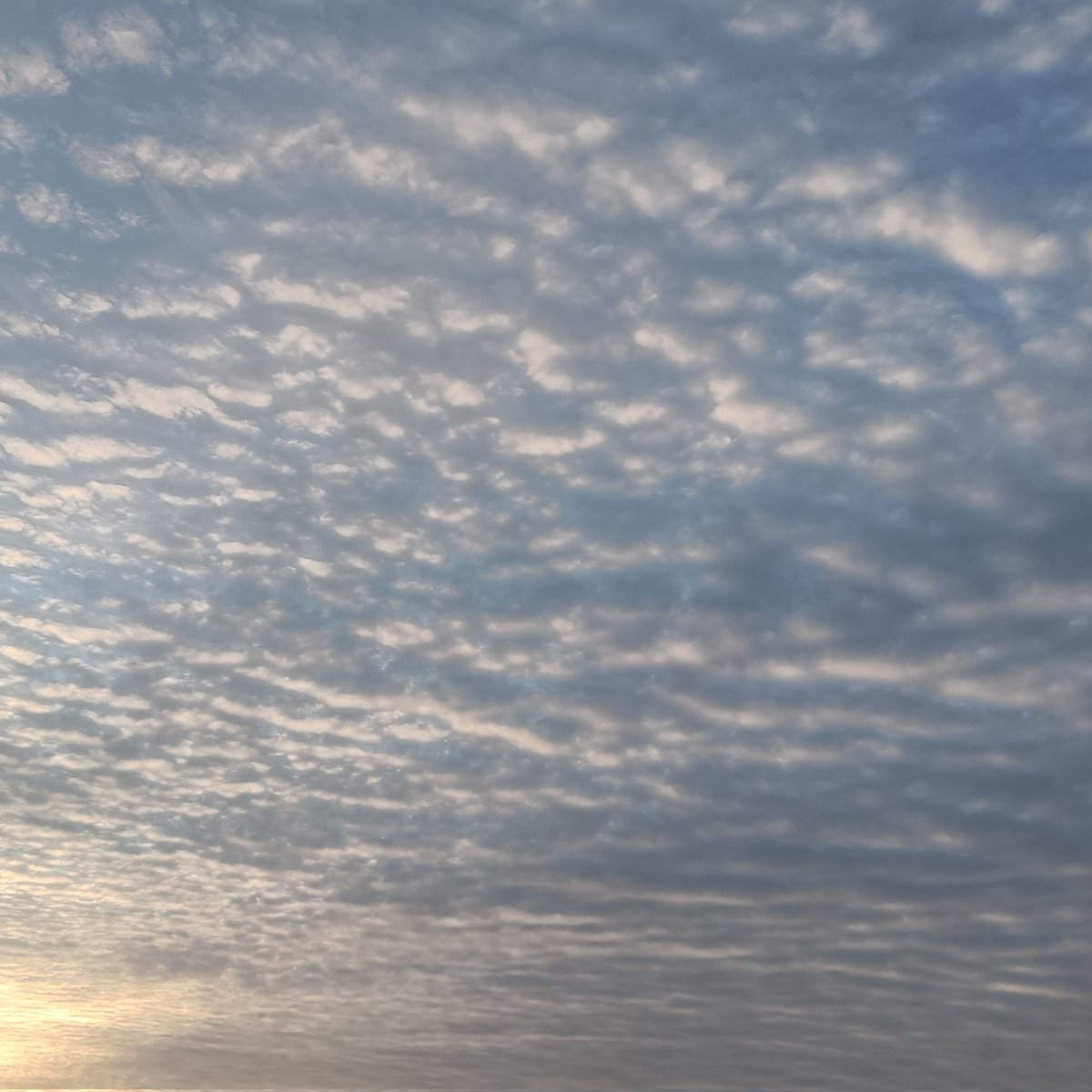 amalanpathi's tweet photo. Wonderful morning https://t.co/aXfX3C1kKW