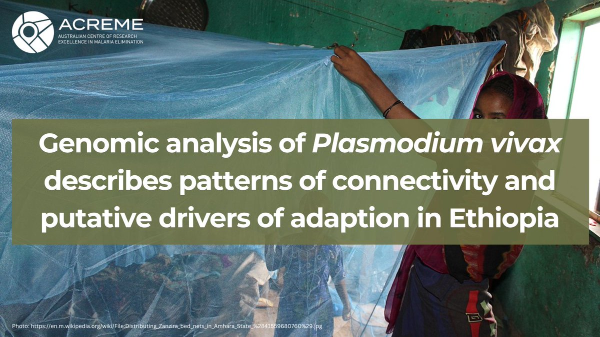 acreme2030's tweet photo. Plasmodium vivax is becoming the predominant cause of malaria in the Asia–Pacific and Americas. This publication highlights the major shortcomings in current approaches to survey P. vivax in Ethiopia. Read: https://t.co/TgTWGDmhIS 

#malaria #globalhealth #publichealth #parasite https://t.co/6LnxLLFGnt