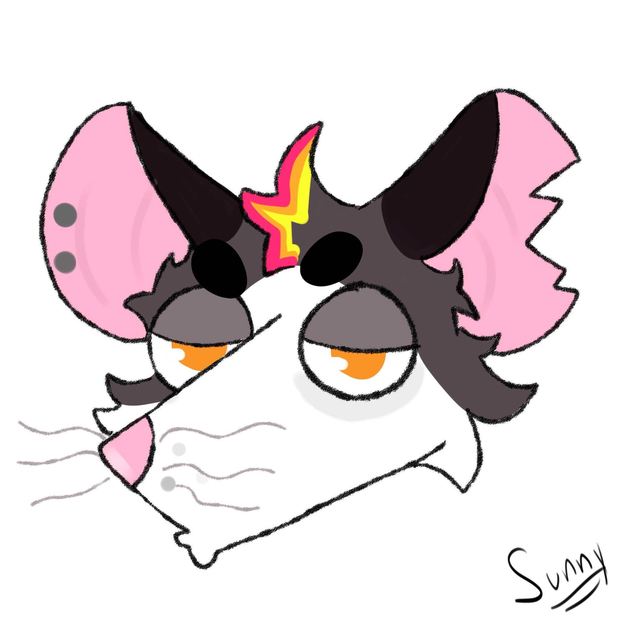 Possum hehehe https://t.co/vrLvA9ESIJ