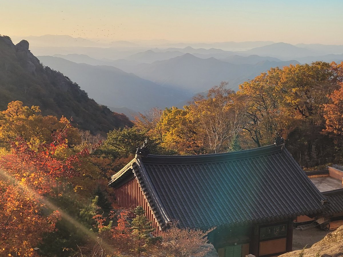 munsangjun14's tweet image. 