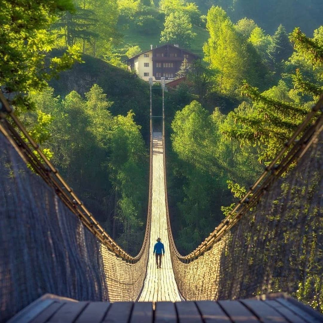 The cold pool reflects the white moon, and the autumn rain covers the moss