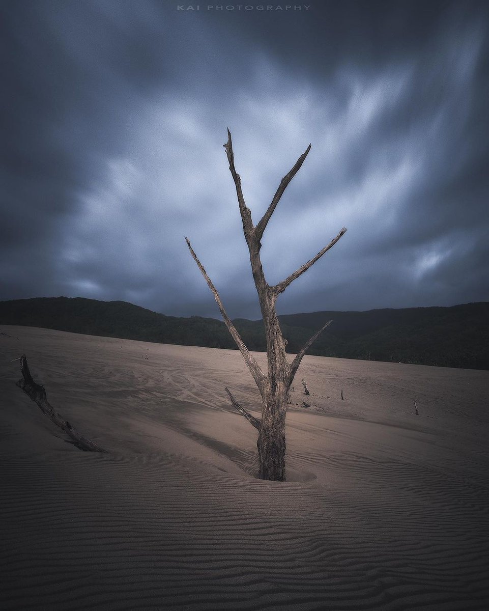 Walking away as soon as you want is the most beautiful luxury and the most brilliant freedom in life.