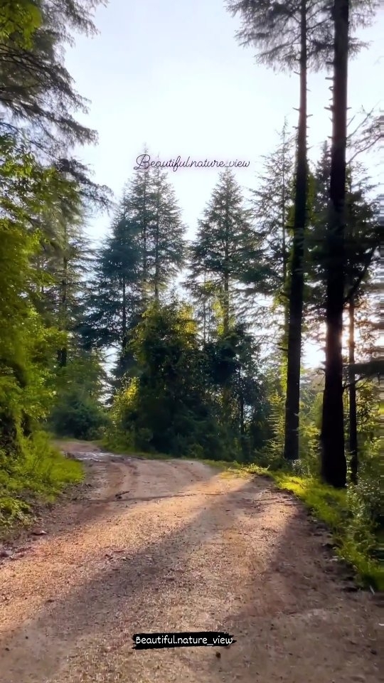Beautiful things are waiting for you to discover.