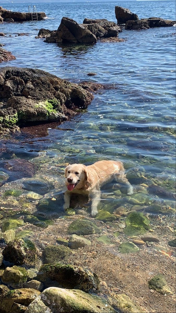 twaniimals's tweet image. 