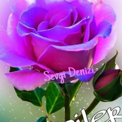 Arianna Uhing tweet media