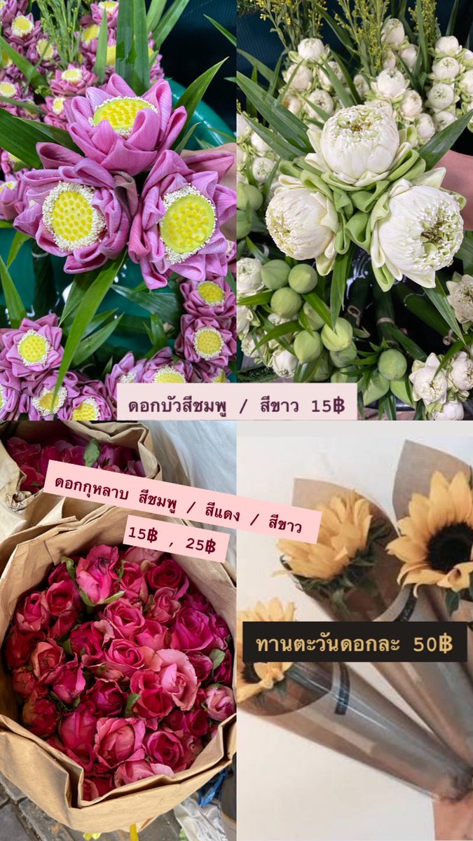 3boots_'s tweet photo. พรุ่งนี้กีฬาสีแล้วรับหิ้วดอกไม้นะคับ  มีหลายราคา 15-50 สั่งทำล่วงหน้าได้ มีพวงมาลัยดอกบัวดาวเรือง เปิดรับเรื่อย ๆ สนใจเพิ่มเติมมาดูได้ที่ใต้ตึก (นัดรับใต้ตึก) https://t.co/glS2v3CAMM เดมมาหรือทักแอคนีไดเลยคับ สะดวกตอบตลอด 😘 #srnfact https://t.co/cqz86MEdTa