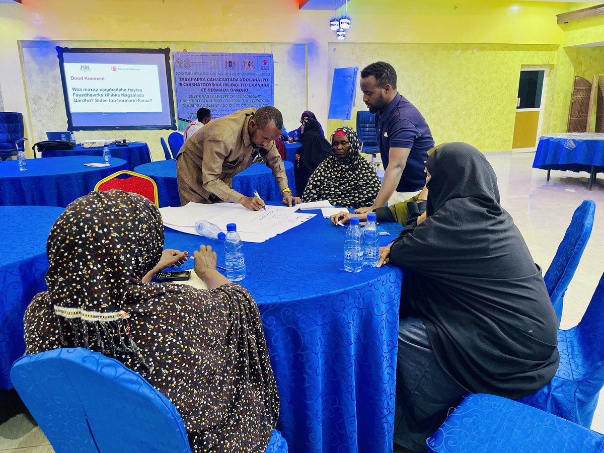 MoLAH_Puntland's tweet photo. In partnership with @SaveChildrenSO, @MoLAH_Puntland conducted community training on Sustainable Livestock management for #180 community members from #Qardho, #Garowe, #Burtinle, #Galdogob, #Galkaio &amp; #Dhahar through #DRSLP-II , @AfDB_Group funded project. 
#Livestock #Livelihood https://t.co/f6ZYqQtmXz