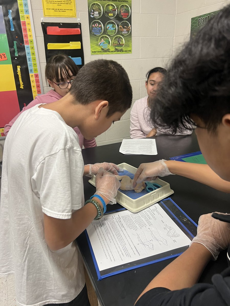 wbmsboro's tweet image. It was so awesome to see our 7th grade Social Studies and Science students deeply engaged in these learning experiences today! #makinglearningfun