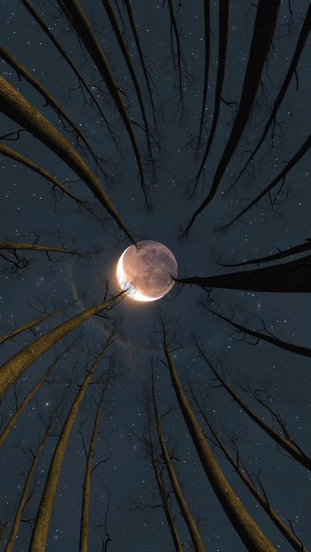 Lenough281567's tweet image. See different scenery and have a good mood.