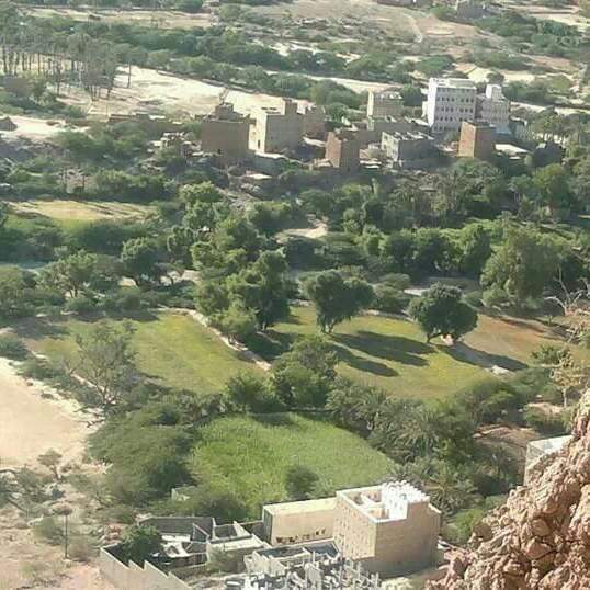 من اليمن السعيد