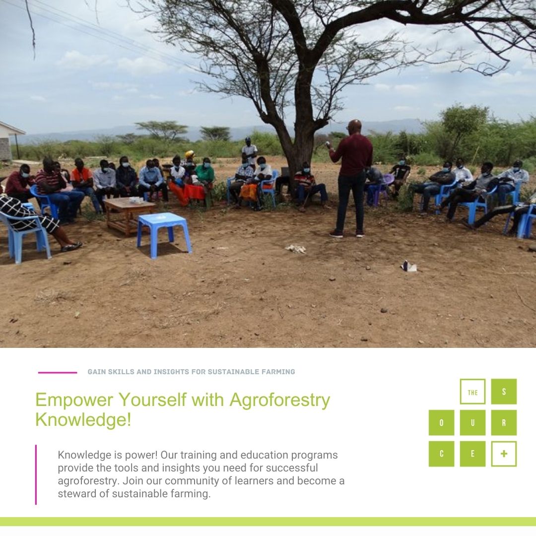 Empower Yourself with Agroforestry Knowledge!
Our training and education programs provide the tools and insights you need for successful agroforestry. Join our community of learners and become a steward of sustainable farming. <a href="/ICRAF/">World Agroforestry</a>, <a href="/FAO/">Food and Agriculture Organization</a>, <a href="/BeeConservancy/">Honeybee Conservancy</a>, <a href="/BioversityInt/">Bioversity International</a>
