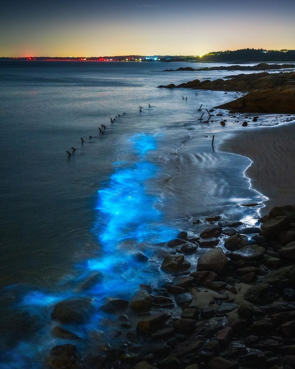 The cicadas have driven away the remaining summer heat, and the geese have brought the new autumn.