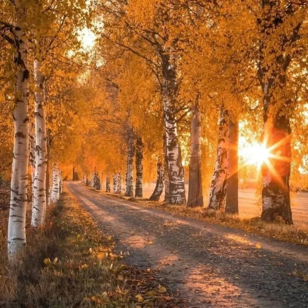 These scenery have nothing to do with anything. Even if you have nothing, they will still bloom for you.