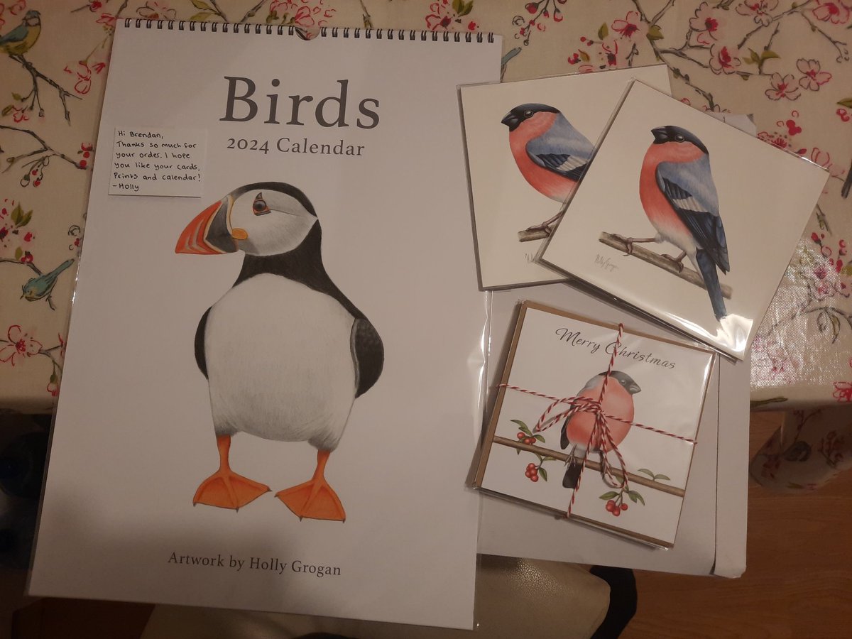 Delighted with my purchases from @hollygroganart Beautiful prints, calendars etc of birds, local Dublin artist, check her work out on Etsy.com/shop/hollygrog… Nice Christmas present ideas! #buylocal @BuyIrish #guaranteedirish #bullfinch #BirdsOfTwitter #birds