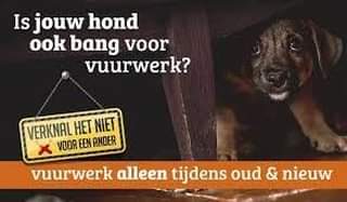 ogenindewijk's tweet photo. Vanaf 1 december tm 31 december kunt u alleen via WhatsApp of SMS een melding maken van vuurwerkoverlast. Andere meldingen  kunt u blijven doen via onze website  
https://t.co/bsLAhzqwM3 

De vuurwerktelefoon is bereikbaar via telefoonnummer 06-27094762 https://t.co/nDPxkwth5b