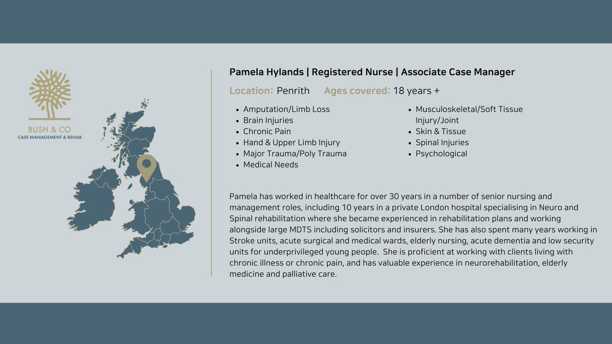 Bush & Co tweet media