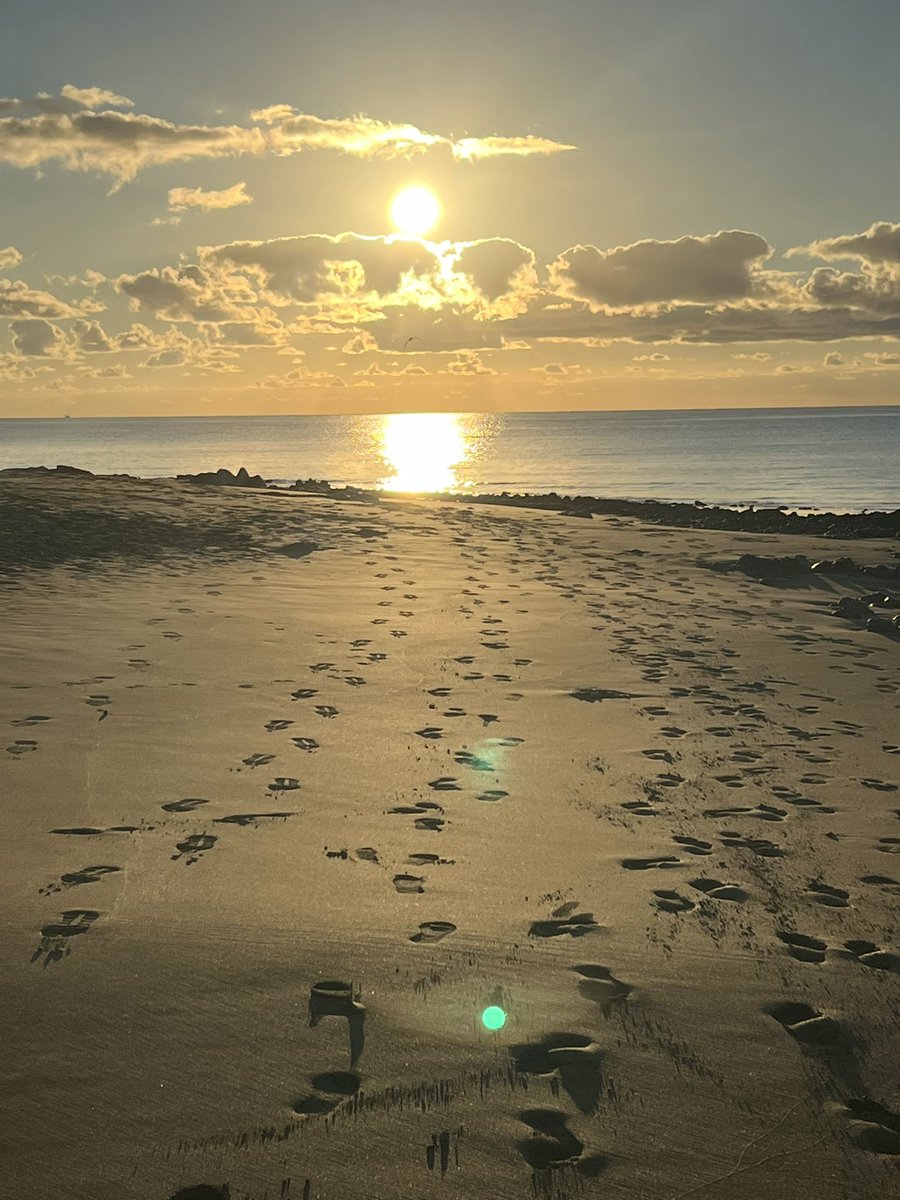 Geoffrey Spence tweet media