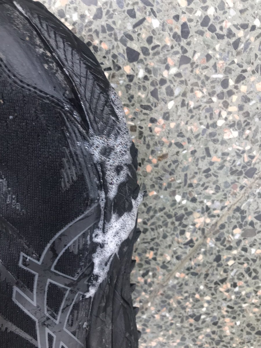 Lucy Brown tweet media