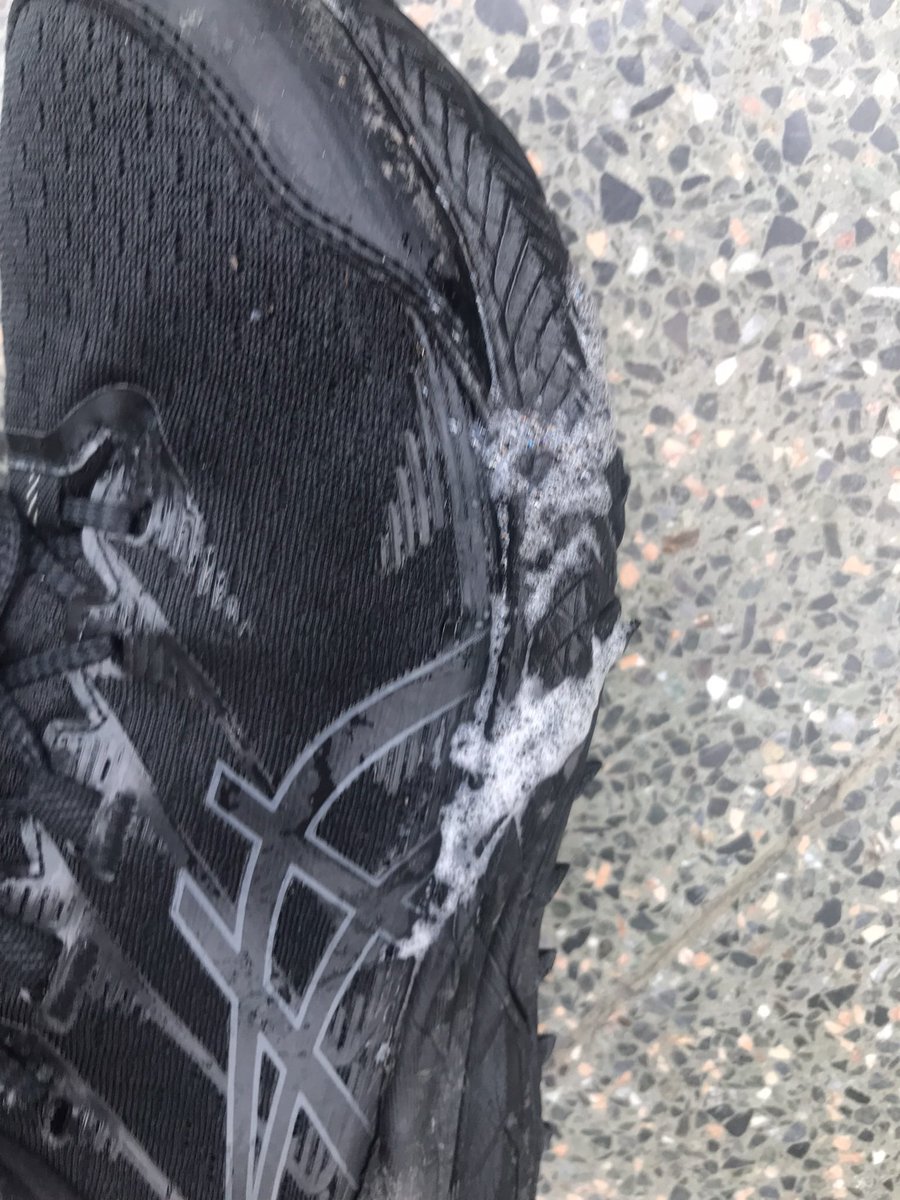 Lucy Brown tweet media