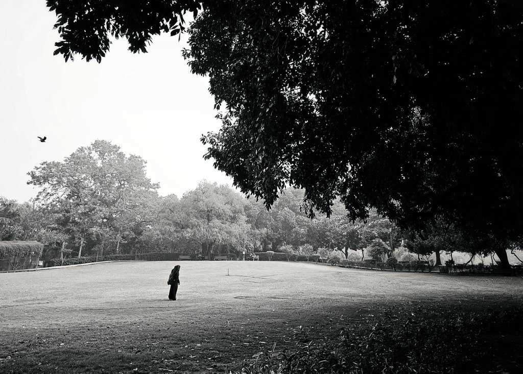 ExploreWithRoy's tweet photo. A quiet post work afternoon at my favourite place, Lodhi Gardens...🤗❤️
#photographer #photograghy @SamsungMobile #delhi #wednesdaythought @SoDelhi #Patjhad https://t.co/0r2IRPDJzw