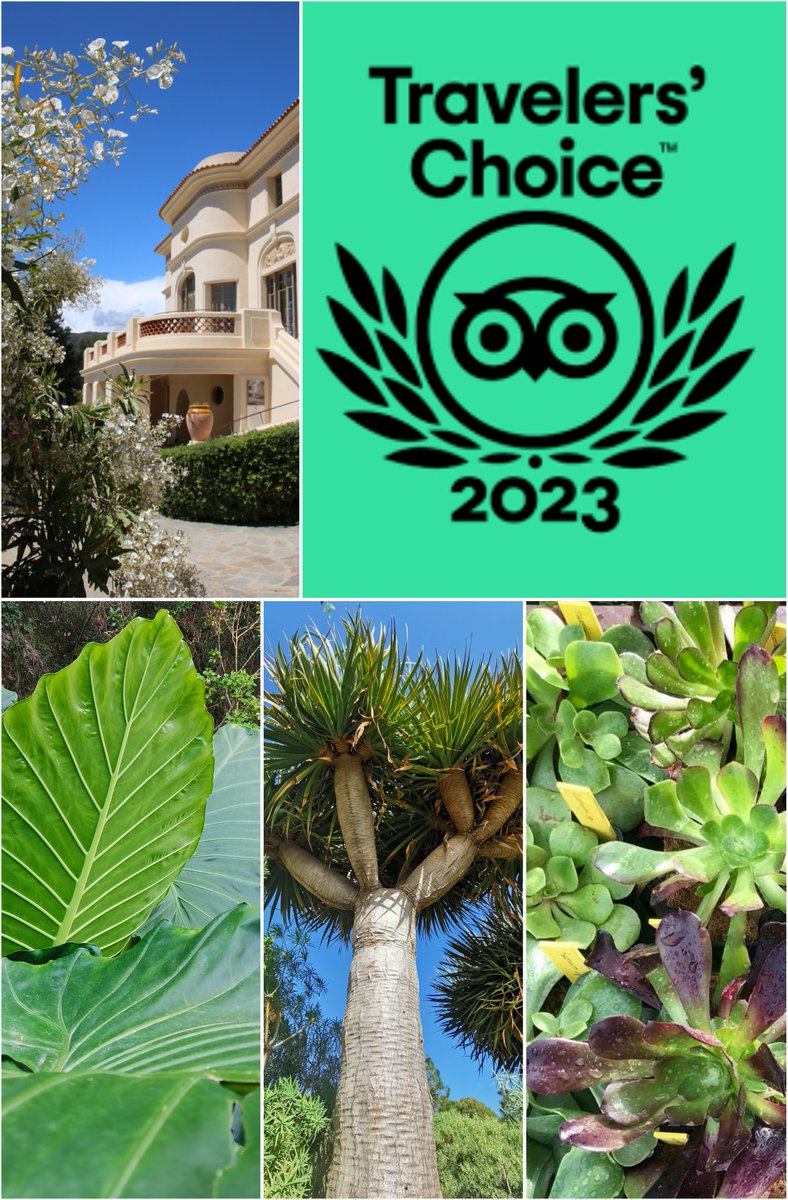 Chaque année, Tripadvisor récompense les établissements qui offrent les meilleures expériences à leurs visiteurs. Cette année encore, le Domaine du Rayol, Le Jardin des Méditerranées, a été récompensé et figure sur la liste des lauréats. Merci chers visiteurs de votre confiance🙏