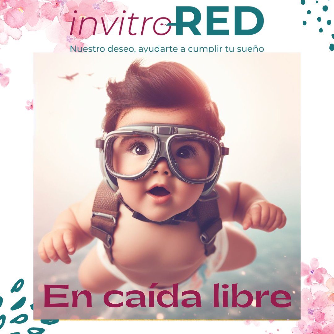 InvitroREDes's tweet photo. ¡La natalidad en España sigue en caída libre!

#invitroRED #infertilpandy #comunidadRA #RAsistida #invitro #fiv #ivf #icsi #embarazoporfiv #infertilidad #maternidad #busquedaembarazo #natalidad #problemon https://t.co/qVsj6Cfcxo