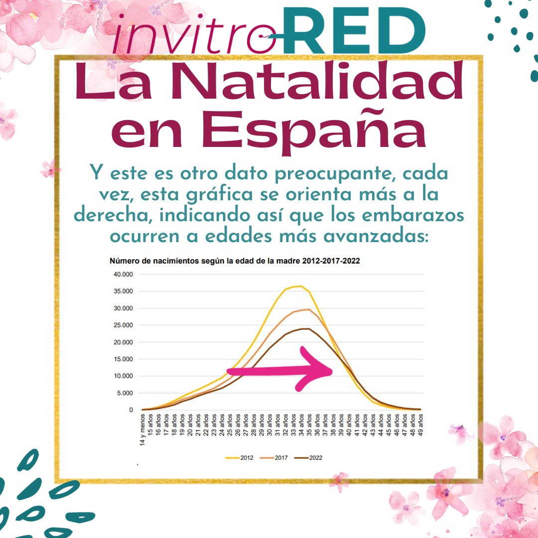 InvitroREDes's tweet photo. ¡La natalidad en España sigue en caída libre!

#invitroRED #infertilpandy #comunidadRA #RAsistida #invitro #fiv #ivf #icsi #embarazoporfiv #infertilidad #maternidad #busquedaembarazo #natalidad #problemon https://t.co/qVsj6Cfcxo