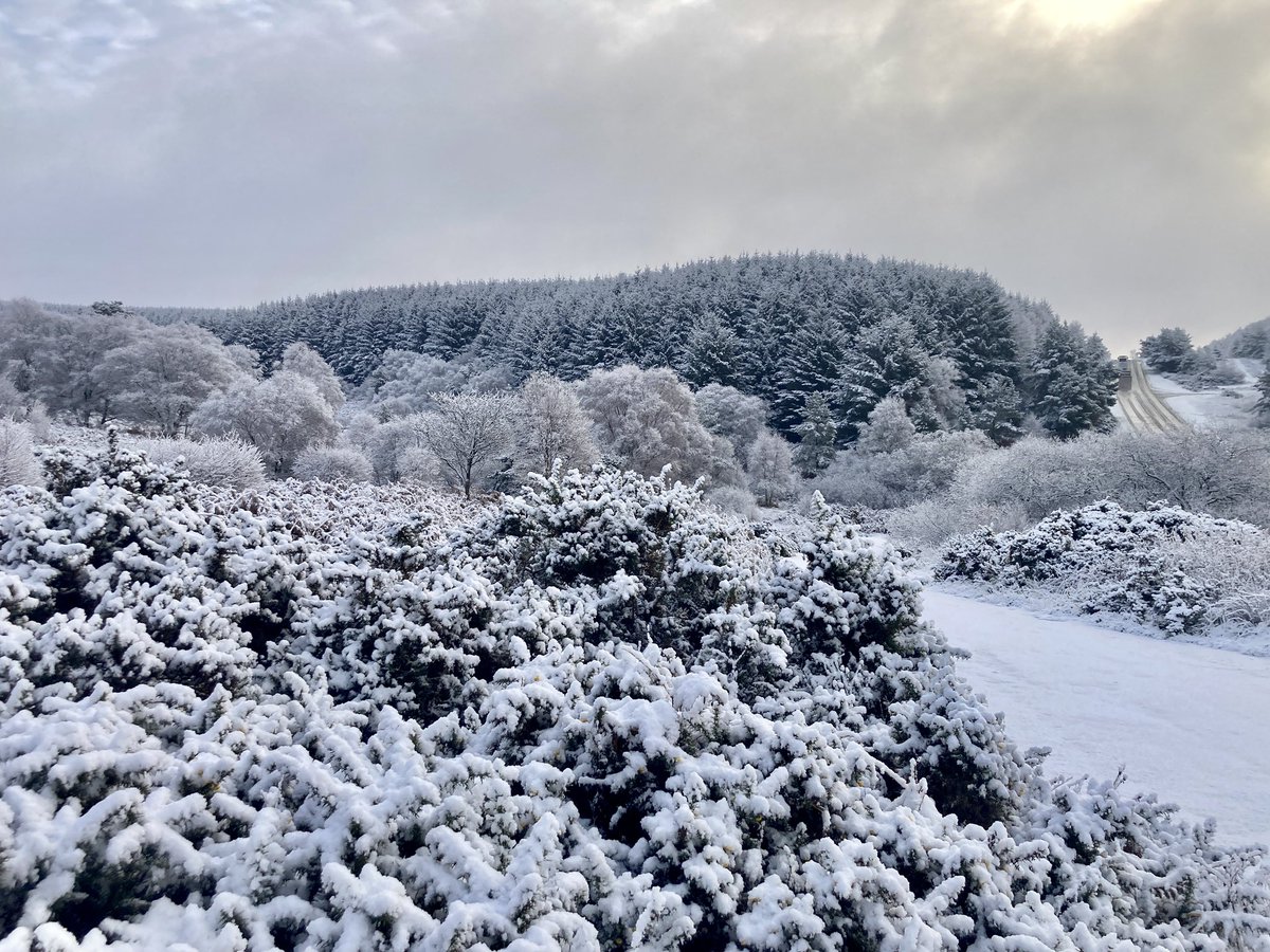 Scandinavia? Nope. This is Scarborough this morning. #snow @itvtynetees