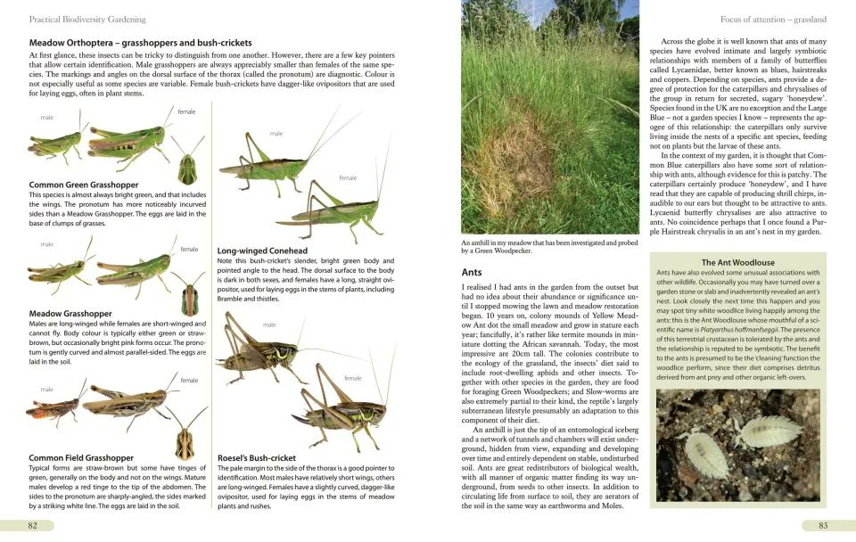 Pemberley Natural History Books tweet media