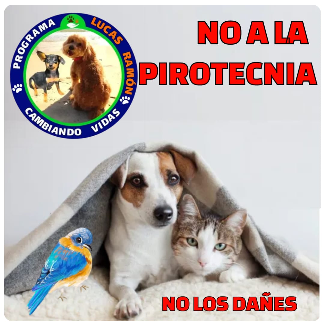 FRAENKELE's tweet photo. NO A LA PIROTECNIA... https://t.co/ZpIUf2ly6O