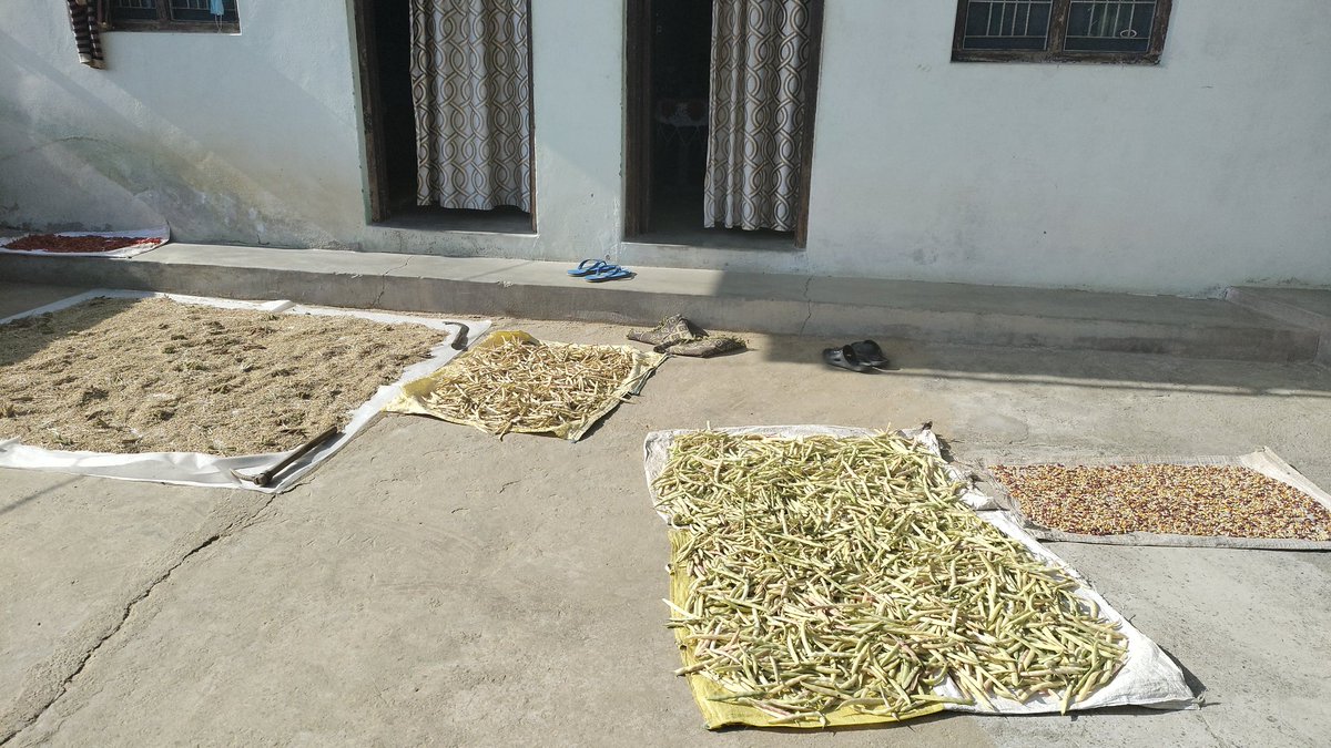 Ananda Banerjee tweet media