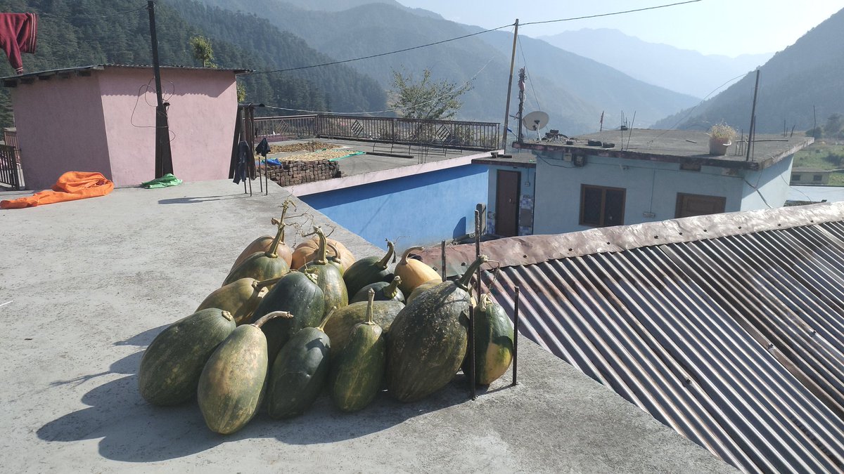 Ananda Banerjee tweet media