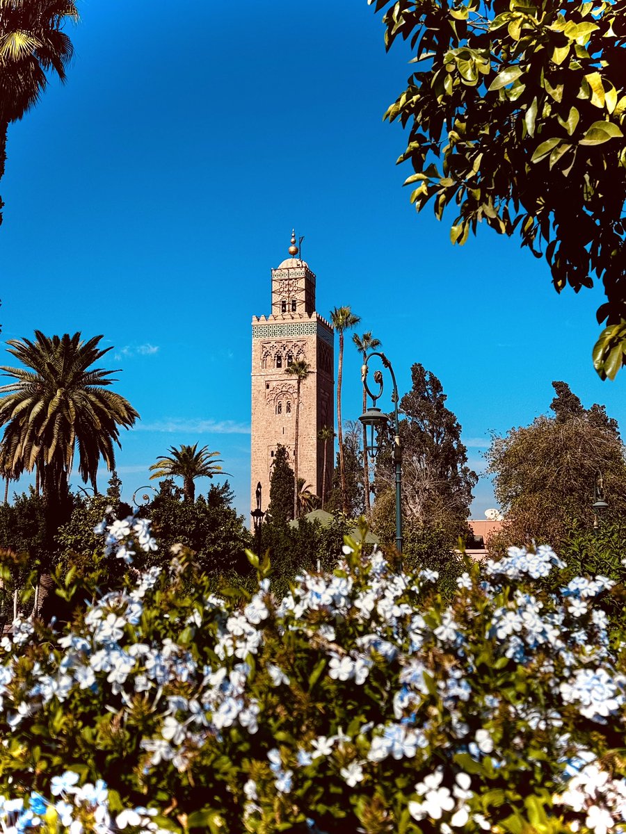 🗣️Good evening, Marrakech and your <a href="/KechFestival/">Marrakech Festival</a> !🇲🇦#marrakech #marrakesh #marrakesch #maroc #marocco #marocaine #marrakechfilmfestival #marrakechfestival #cinema #movie #architecture #travel #flight #traveling #travelgram #travelphotography #art #plane #dune #desert #trip #boy