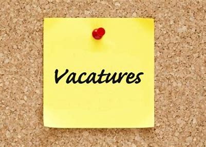 Vv Harkstede wordt ondersteund door 200 vrijwilligers. Zo dragen de meeste oudere leden en ouders een steentje bij aan het succes van de vereniging. Top.

Op de website staan de nieuwste vacatures.