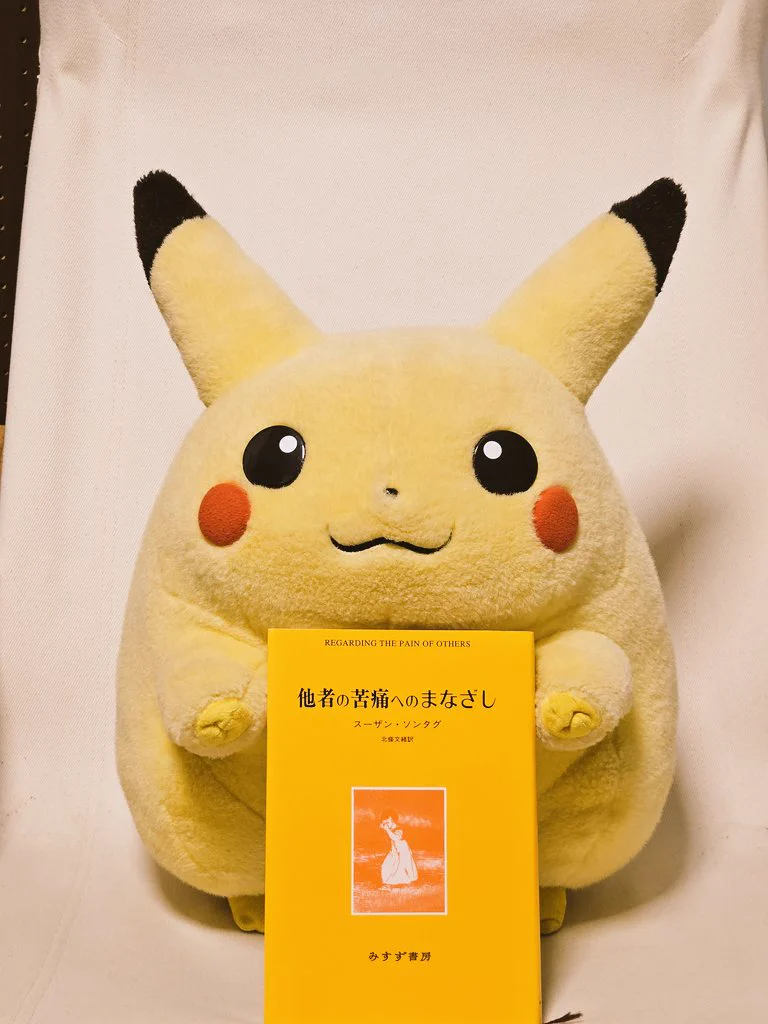 初代ピカチュウ特大ぬいぐるみ まんまる パン・ド・ひとみん on X: 