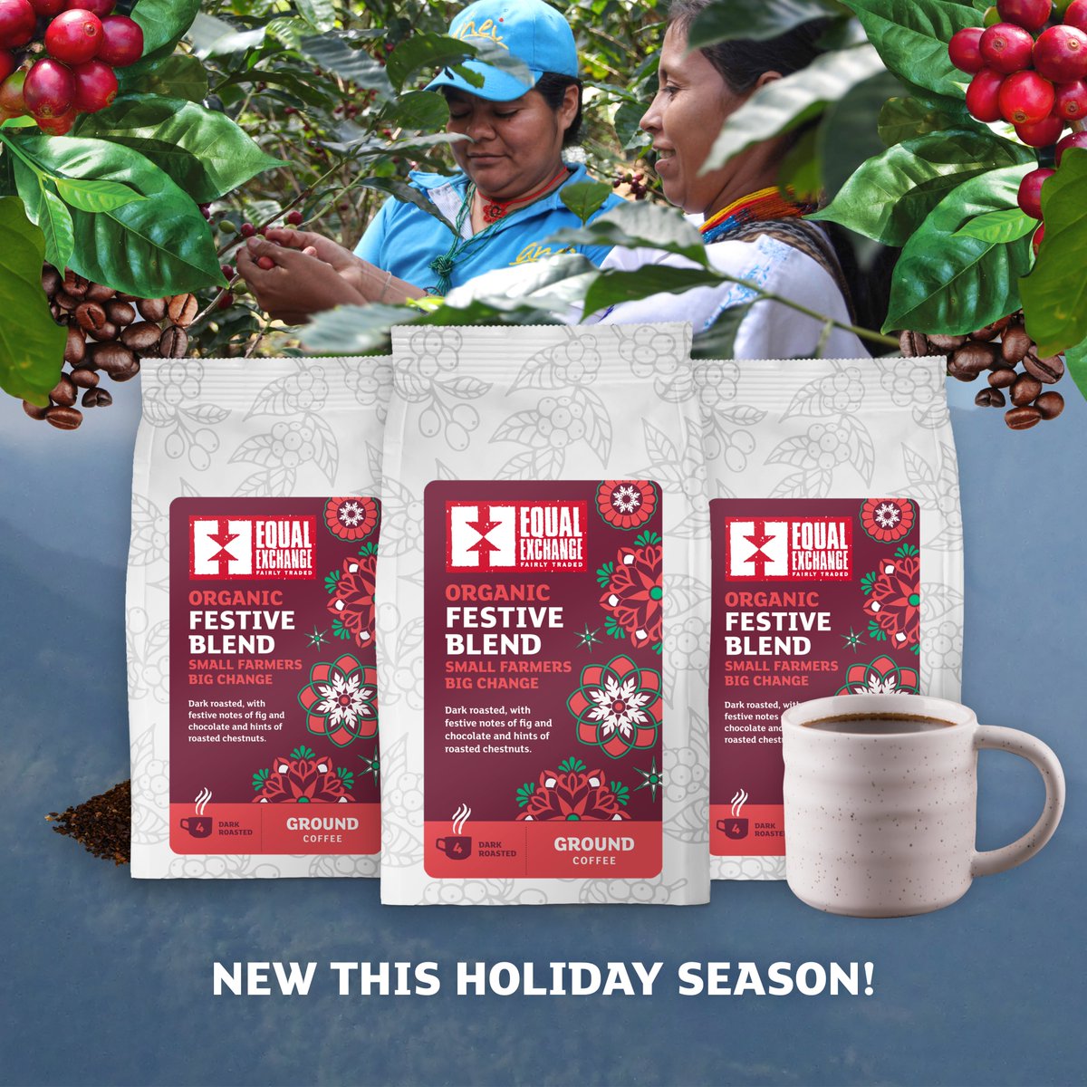 Have you tried our Festive Blend? It's our new seasonal dark roast, smooth and chocolatey to bring a festive mood to your morning cup🎄

We've blended high quality organic arabica from three of our long-term coop partners in Guatemala, Mexico &amp; Colombia. Look for it in stores!