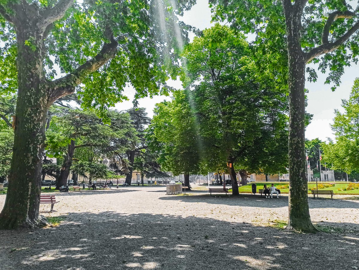 🌳 Réunion Publique ce soir à 19h30, en Salle des Illustres, à l'Hôtel de Ville pour discuter du projet Parc Fallières, transformant la Place Armand Fallières en parc urbain.
Votre avis compte ! Venez partager vos idées.
#parcfallières #agenenmouvement