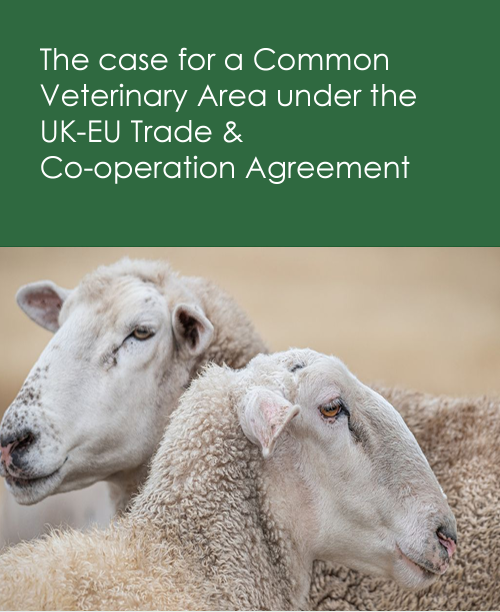 TAWCUK's tweet photo. The establishment of a 🇬🇧-🇪🇺 Common Veterinary Area would streamline animal movement while maintaining high #AnimalWelfare.

Read our new report, learning from the successes of the EU-Switzerland CVA model👉https://t.co/7brguqetEA https://t.co/71mmecaXKH